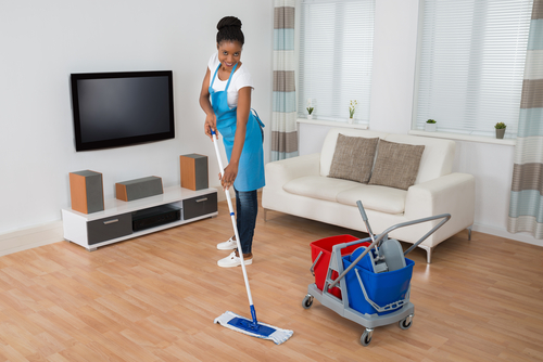 Where can I schedule a professional house cleaning in Loveland, OH & the vicinity