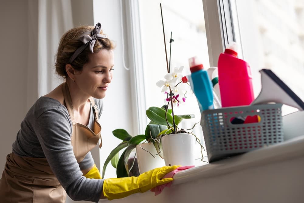 Room-by-Room Spring Cleaning Guide