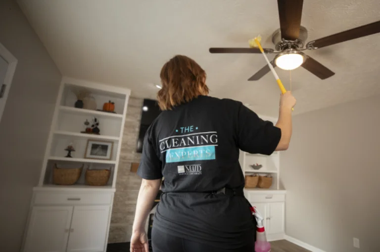 dusting the ceiling fan