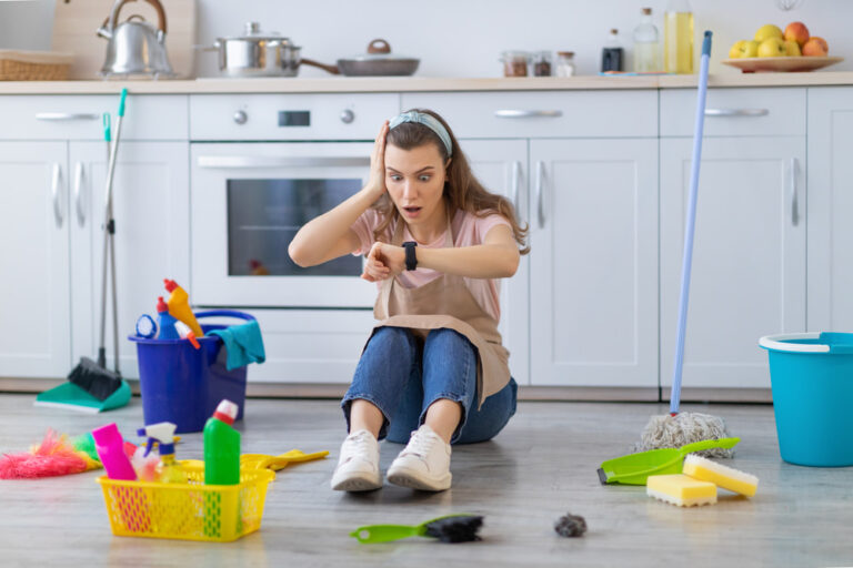 meticulous maid service in Loveland, OH