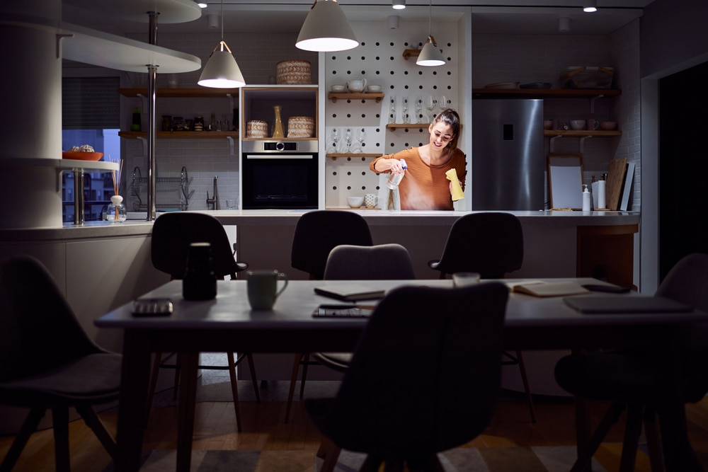 proven maid service in Loveland
